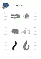 anteprima - Didattica a stazioni - Zoo Animals - BODY PARTS Peg Cards - Pagina 2