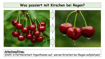 Vorschau - Stundenentwürfe - Diffusion & Osmose einfach erklärt | Arbeitsblatt mit Lösungen + Präsentation | Biologie Oberstufe - Seite 1
