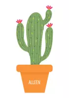Voorbeeld - Differentiatie thema cactus - Pagina 1