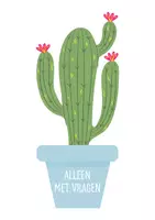Voorbeeld - Differentiatie thema cactus - Pagina 2