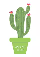 Voorbeeld - Differentiatie thema cactus - Voorblad