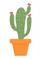 Voorbeeld - Differentiatie thema cactus - Pagina 3