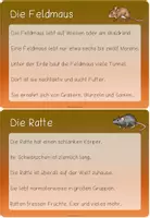 Vorschau - Stationenlernen - Abschreibkartei: Wildtiere / Waldtiere - Seite 3