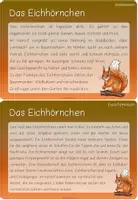 Vorschau - Stationenlernen - Wissenskartei: Tiere des Waldes - Seite 1