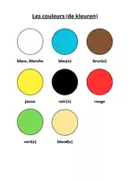 Voorbeeld - de kleuren in het Frans + een beschrijving geven - Voorblad