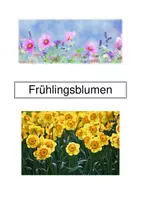 Vorschau - Präsentationen/Tafelbilder - 18 Frühlingsblumen-Bildkarten-Namenskarten zum Zuordnen - Seite 1