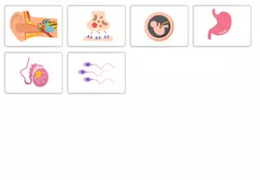 Aperçu - Jeux - Cherche et trouve biologie - Page 1