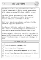 Vorschau - Arbeitsblätter - Leseverständnis | Spannende Tiere | Differenzierte Aufgaben - Seite 1