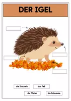 Vorschau - Arbeitsblätter - Der Igel | Tafelmaterial | Arbeitsblätter - Seite 2