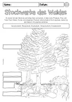 Vorschau - Arbeitsblätter - Stockwerke des Waldes - Seite 1