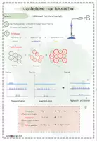 Vorschau - Präsentationen/Tafelbilder - II. Elektronenübergänge | Chemie 9 | Hefteinträge - Seite 2
