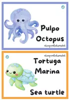 Vista previa - Unidades / Secuencias / Situaciones de Aprendizaje - CUADERNO INFANTIL "LOS ANIMALES MARINOS" - página 2
