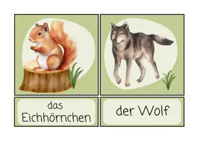 Vorschau - Bildkarten - Wort-/Bildkarten "Tiere des Waldes" Sachunterricht - Seite 2