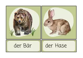 Vorschau - Bildkarten - Wort-/Bildkarten "Tiere des Waldes" Sachunterricht - Seite 3