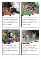 Vorschau - Stationenlernen - Lesepuzzle Lesekarten Fotos Hund differenziert - Deckblatt