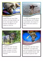 Vorschau - Stationenlernen - Lesepuzzle Lesekarten Fotos Hund differenziert - Seite 2