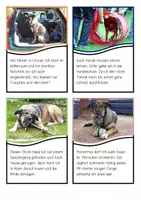 Vorschau - Stationenlernen - Lesepuzzle Lesekarten Fotos Hund differenziert - Seite 3