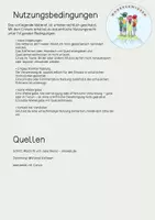 Vorschau - Stationenlernen - Materialpaket Totholzhecke - Seite 2