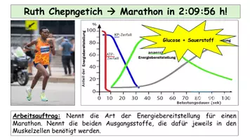 Vorschau - Stundenentwürfe - Stofftransport Biomembran - Unterrichtsstunde Oberstufe: AB, PPT, Infokarten, QR - Seite 1