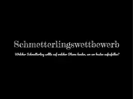 Vorschau - Unterrichtsreihen - Farbenlehre: Schmetterlingswettbewerb (Komplementärkontraste) - Seite 1