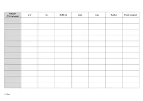 Vorschau - Arbeitsblätter - Verben im Präsens und Passé composé konjugieren (Tabelle als Vorlage) - Seite 3
