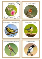 Aperçu - Cartes / Images - Porte-clé d’identification : les oiseaux 🪶🪹🪿 - Page 1