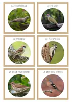 Aperçu - Cartes / Images - Porte-clé d’identification : les oiseaux 🪶🪹🪿 - Page 2