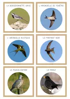 Aperçu - Cartes / Images - Porte-clé d’identification : les oiseaux 🪶🪹🪿 - Page 3
