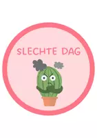 Voorbeeld - Gedragsverkeerslicht thema cactus - Voorblad