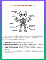 anteprima - Esercizi - IL SUPER QUADERNO DI SCIENZE cl.5 – Il Sistema Scheletrico - Pagina 3