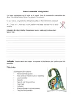 Vorschau - Arbeitsblätter - Monogramme gestalten im Kunstunterricht – Von der Idee zum Monogramm - Seite 2