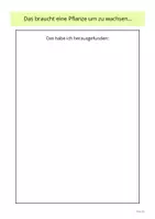 Vorschau - Arbeitsblätter - Kresse-Experiment: Was brauchen Pflanzen um zu wachsen? - Seite 2