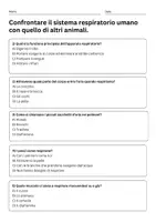 anteprima - Quiz - Confrontare il sistema respiratorio umano con quello di altri animali - Quiz - Pagina 1
