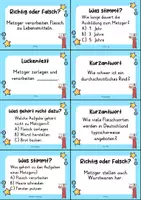 Vorschau - Stationenlernen - Metzger MEGABUNDLE Materialpaket- Wissenskartei, Lückentext, Steckbrief, Suchsel, Quizkarten - Seite 2