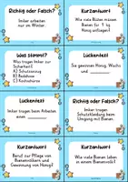 Vorschau - Arbeitsblätter - Imker MEGABUNDLE Materialpaket - Wissenskartei, Lückentext, Steckbrief, Suchsel, Quizkarten - Seite 3
