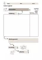 Vorschau - Arbeitsblätter - Vollständige Handlung LogBuch Advance Organizer Neutral für alle LS anwendbar - Seite 1