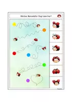 Vorschau - Spiele - 🐞 Marienkäfer Klammerkarten schau genau - Seite 1