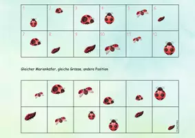 Vorschau - Spiele - 🐞 Marienkäfer Klettmappe schau genau Raumlage - Seite 1