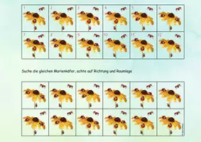 Vorschau - Spiele - 🐞 Marienkäfer Klettmappe schau genau Raumlage - Seite 3