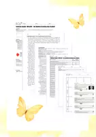 Vorschau - Unterrichtsreihen - Ton Lernsituation Gesundheit Therapie Körper - Deckblatt