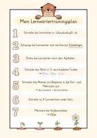 Vorschau - Merkblätter - Lernwörtertrainingsplan Otterklasse - Seite 3