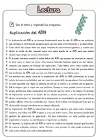 Vista previa - Hojas de trabajo - Comprensión lectora – duplicación del ADN + soluciones - página 1