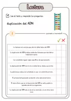 Vista previa - Hojas de trabajo - Comprensión lectora – duplicación del ADN + soluciones - página 2