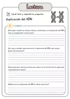 Vista previa - Hojas de trabajo - Comprensión lectora – duplicación del ADN + soluciones - página 3