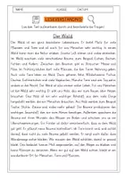 Vorschau - Arbeitsblätter - Leseverständnis 3. Klasse "Der Wald" - Deckblatt
