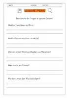 Vorschau - Arbeitsblätter - Leseverständnis 3. Klasse "Der Wald" - Seite 1
