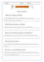 Vorschau - Arbeitsblätter - Leseverständnis 3. Klasse "Der Wald" - Seite 2