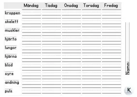 förhandsvisning - Kroppen - sida 2