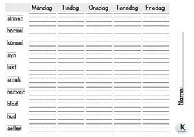 förhandsvisning - Kroppen - sida 3