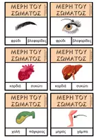 Προεπισκόπηση - Flashcards - Μέρη του ανθρώπινου σώματος - Σελίδα 3